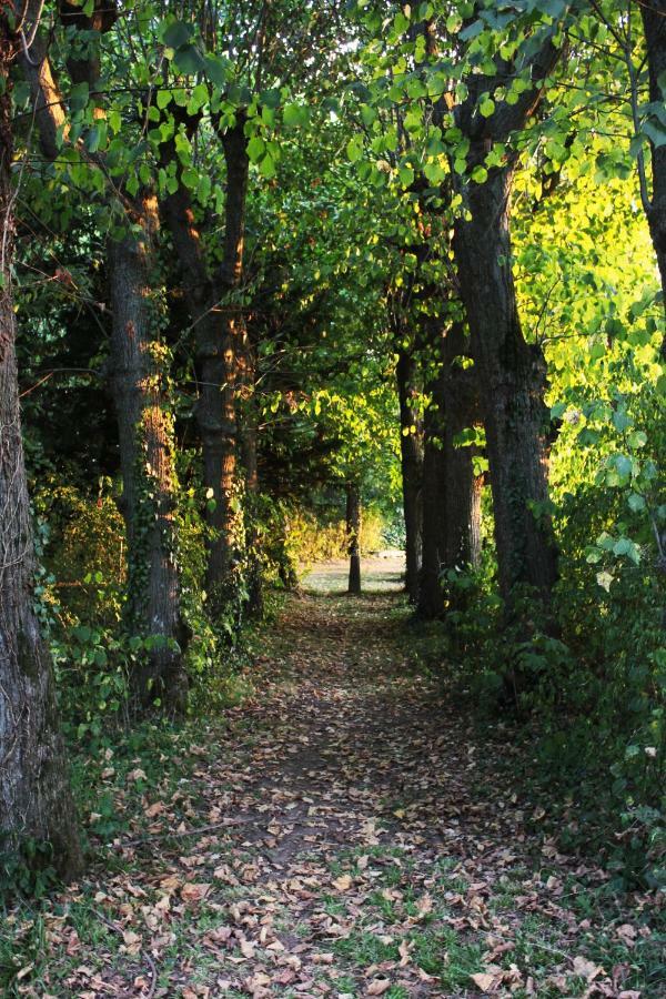 Domaine Des Lilas Saint-Germain-Lembron Exterior foto